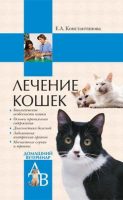 Лечение кошек