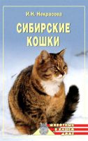 Сибирские кошки