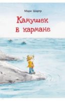 Камушек в кармане