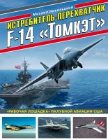 Истребитель-перехватчик F-14 «Томкэт». «Рабочая лошадка» палубной авиации США