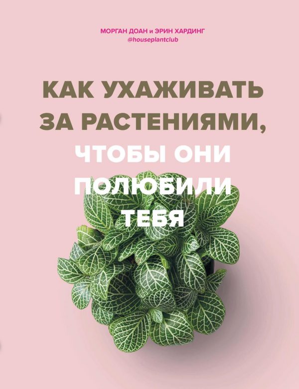 Как ухаживать за растениями