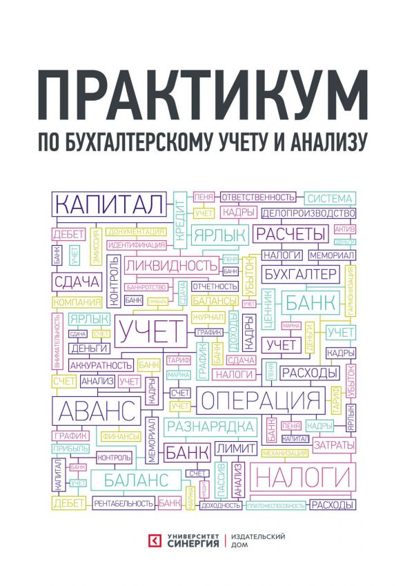 Практикум по бухгалтерскому учету и анализу