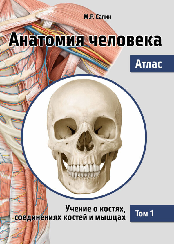 Анатомия человека. Атлас. Том 1. Учение о костях