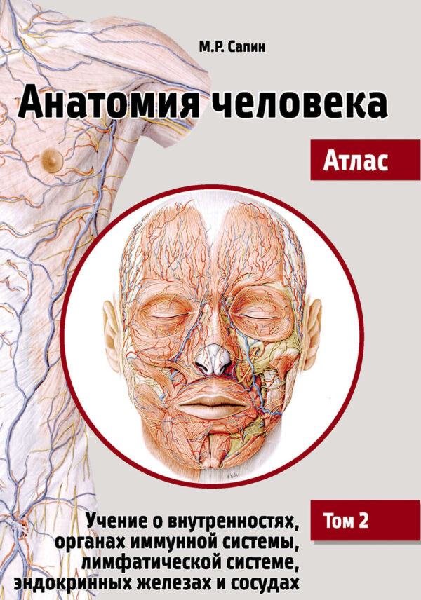 Анатомия человека. Атлас. Том 2. Учение о внутренностях