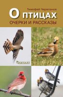 О птицах. Очерки и рассказы