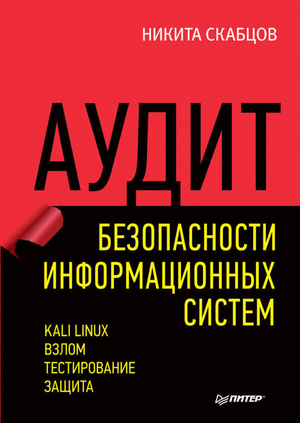 Аудит безопасности информационных систем (pdf+epub)