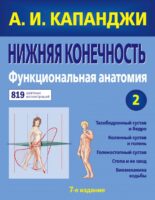 Нижняя конечность: Функциональная анатомия (обновленное издание)