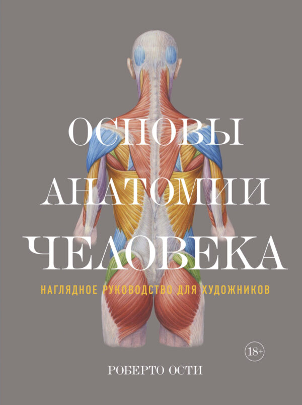 Основы анатомии человека. Наглядное руководство для художников