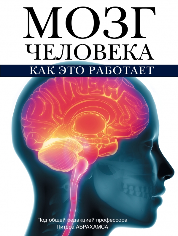 Мозг напрокат как работает человеческое мышление и как создать душу для компьютера редозубов алексей