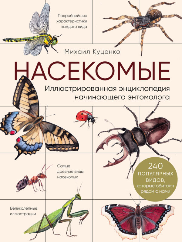 Насекомые. Иллюстрированная энциклопедия начинающего энтомолога (240 популярных видов