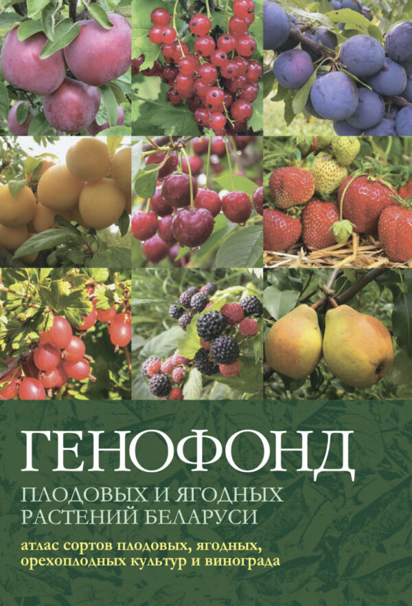 Генофонд плодовых и ягодных растений Беларуси: атлас сортов плодовых