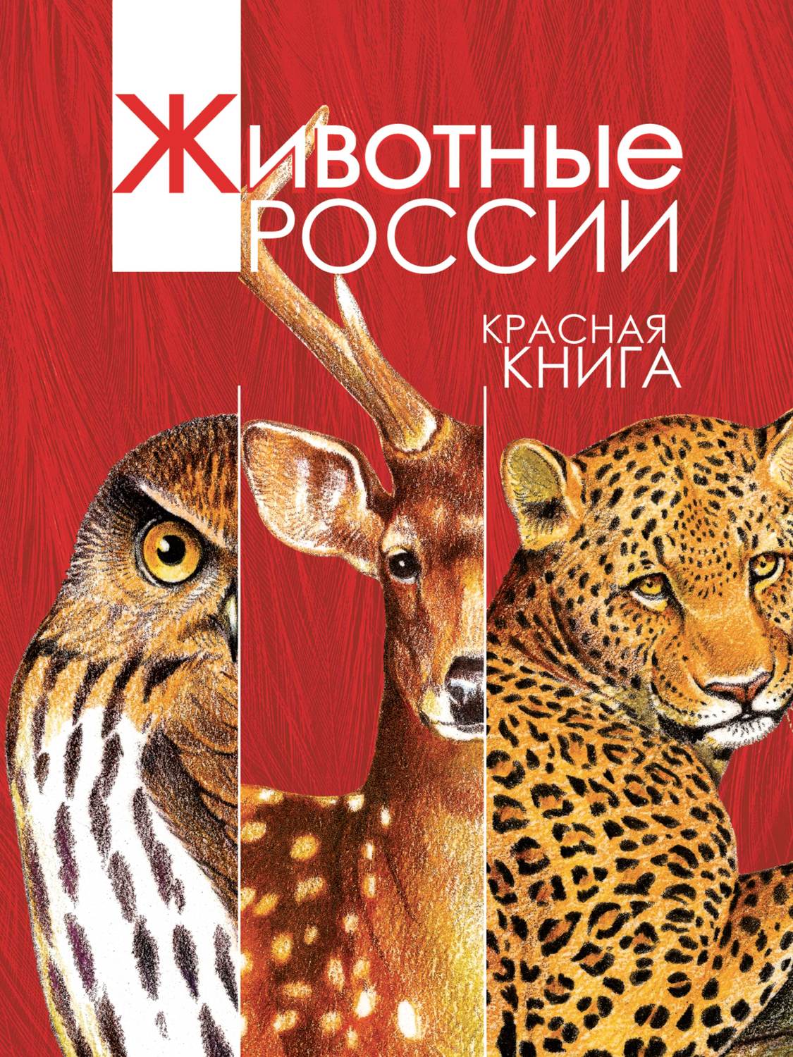 Красная книга россии картинки