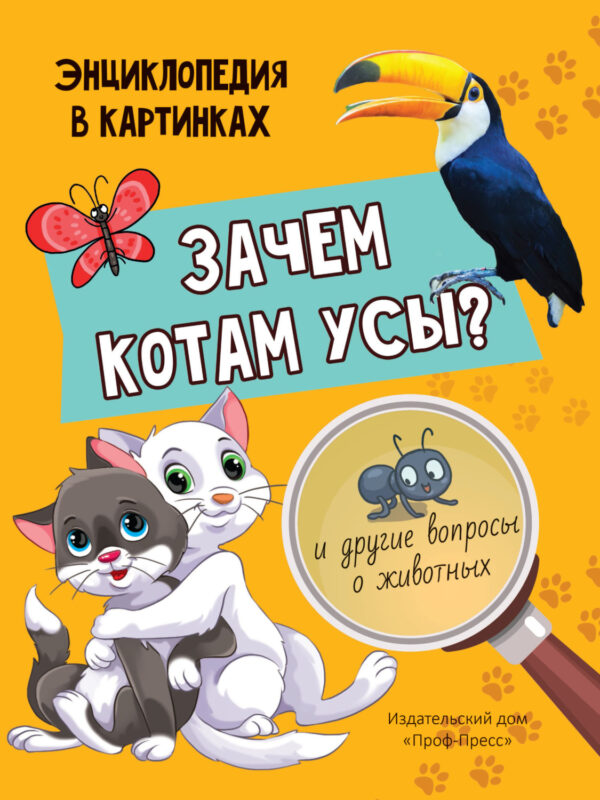 Зачем котам усы?