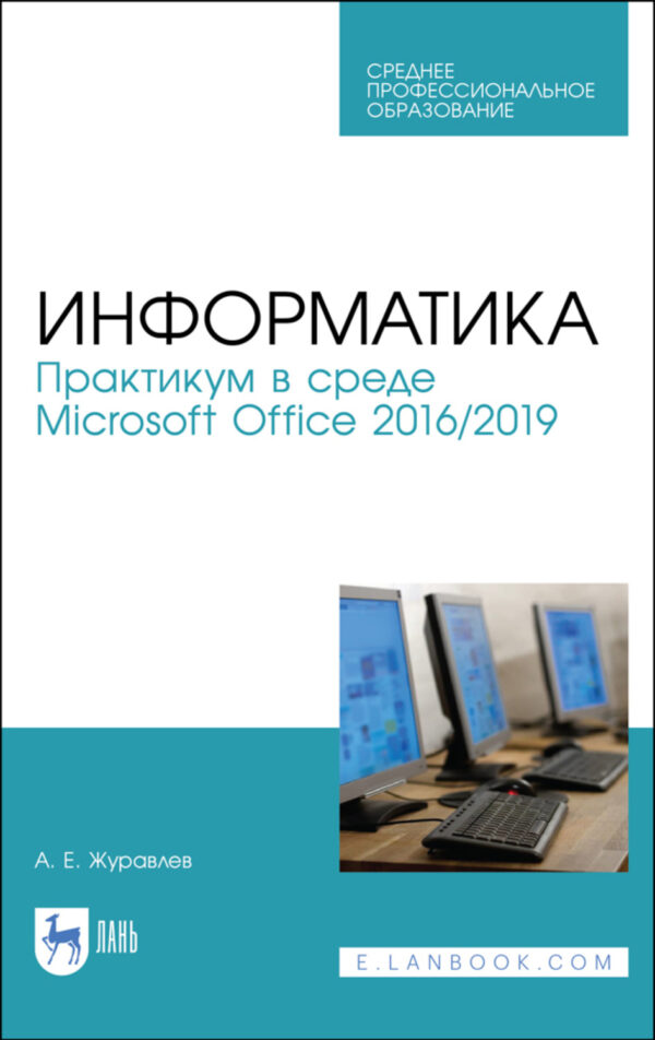 Информатика. Практикум в среде Microsoft Office 2016/2019