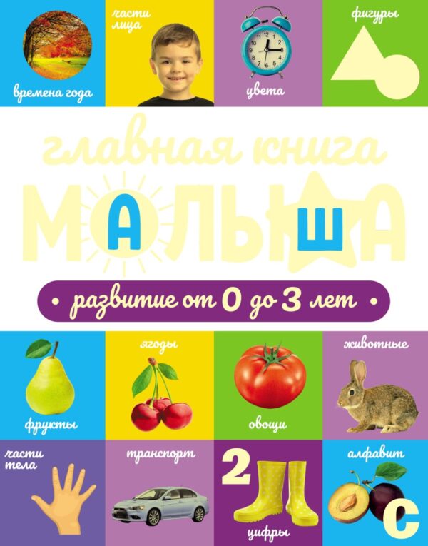 Главная книга малыша. Развитие от 0 до 3 лет