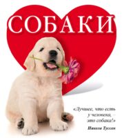 Собаки