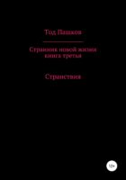 Странник новой жизни. Книга третья. Странствия