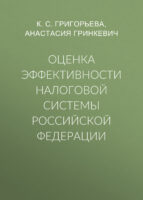 Оценка эффективности налоговой системы Российской Федерации