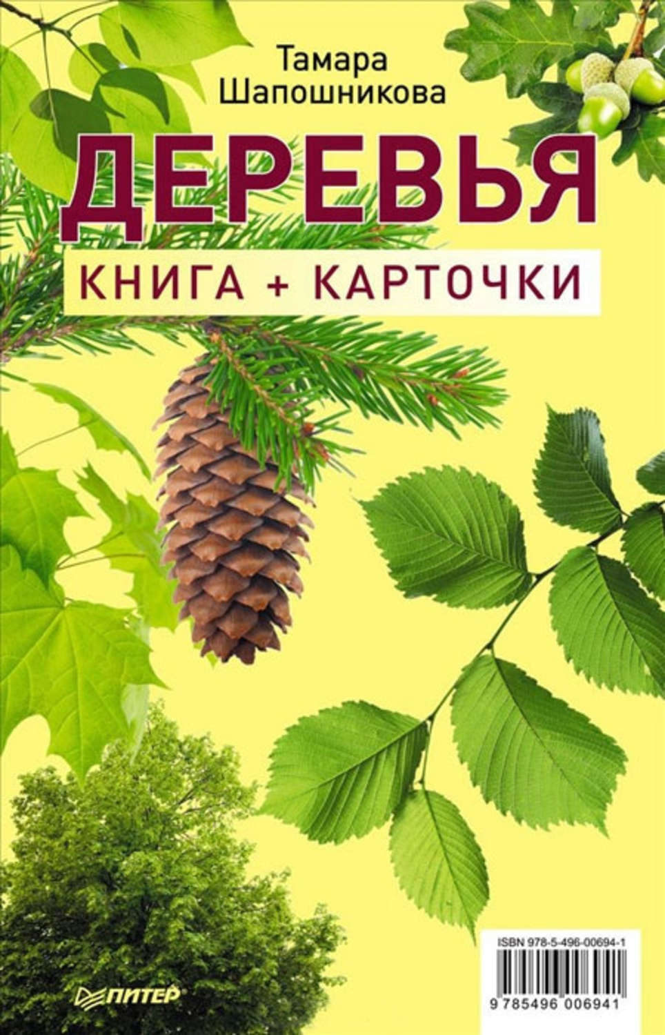 Книга банковские карты. Дерево с книгами. Энциклопедия деревьев. Книги про деревья для детей. Детская книга про деревья.