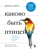 Каково быть птицей: о полетах и гнездовании