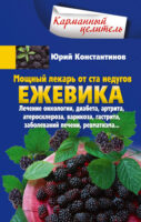 Мощный лекарь от ста недугов. Ежевика. Лечение онкологии