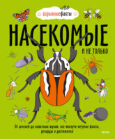 Насекомые и не только. От шмелей до навозных жуков: все ползуче-летучие факты