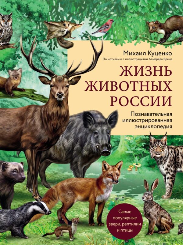 Жизнь животных России. Познавательная иллюстрированная энциклопедия