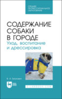 Содержание собаки в городе. Уход