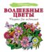 Волшебные цветы. Рисунки для медитаций