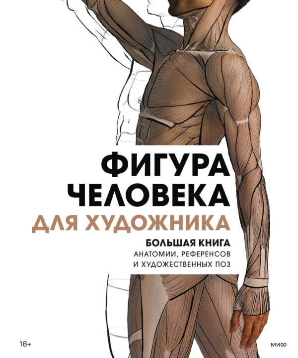 Фигура человека для художника. Большая книга анатомии