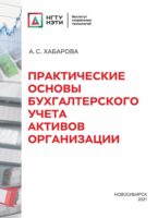 Практические основы бухгалтерского учета активов организации