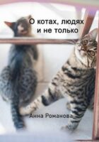 О котах