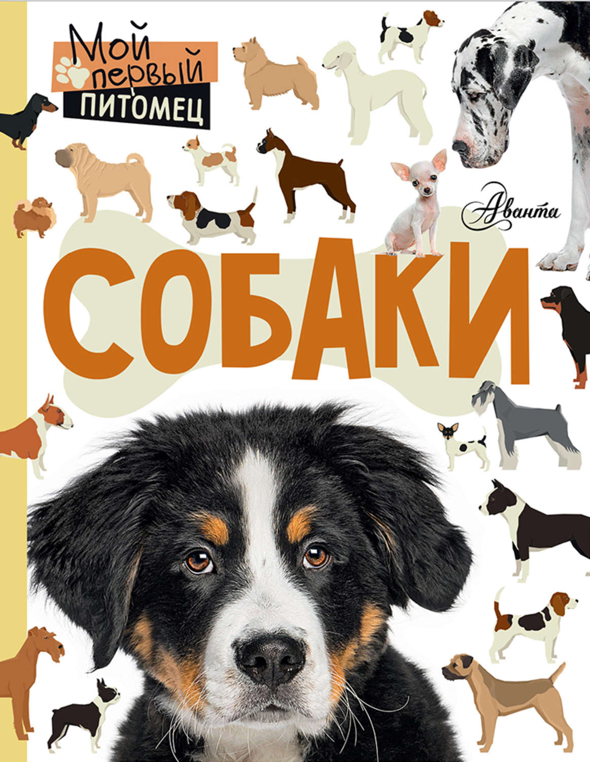 Книги о собаках. Книги про собак. Собака с книжкой. Книги о собаках для детей. Детские книги про собак.