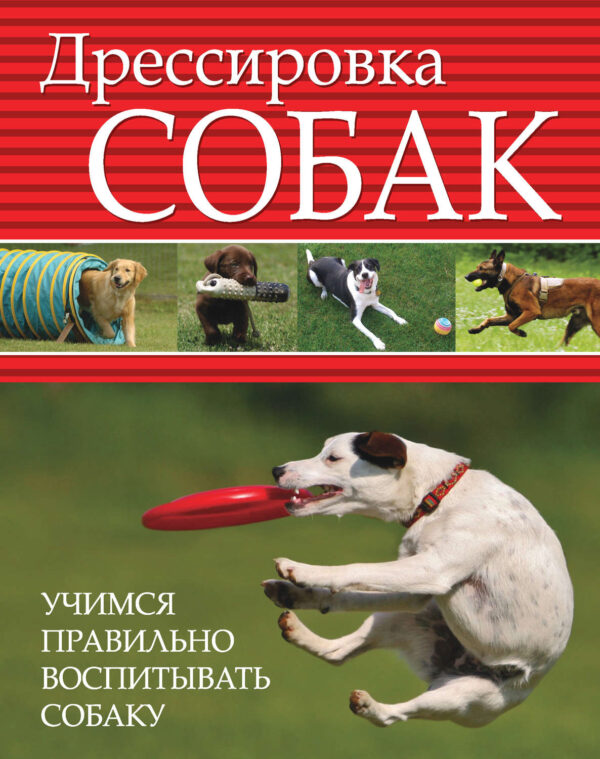 Дрессировка собак. Учимся правильно воспитывать собаку