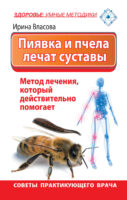 Пиявка и пчела лечат суставы. Метод лечения