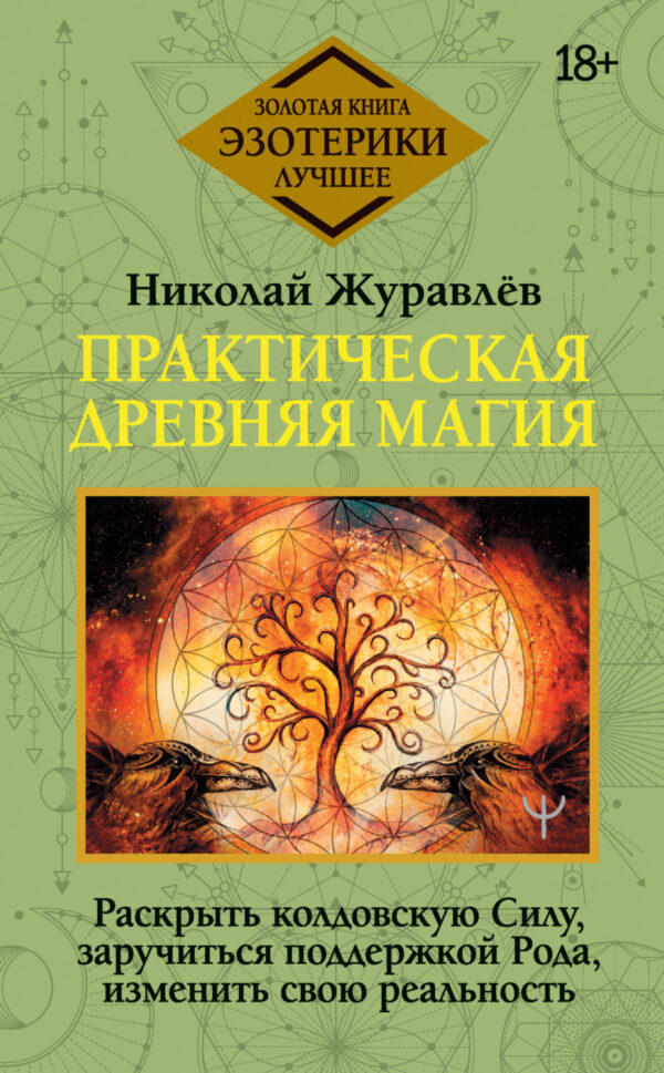 Практическая древняя магия. Раскрыть колдовскую Силу