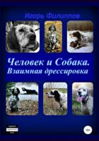 Человек и собака. Взаимная дрессировка