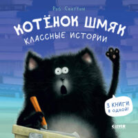 Котенок Шмяк. Классные истории