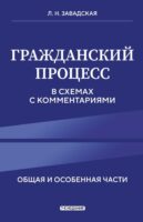 Гражданский процесс в схемах с комментариями. Общая и особенная части