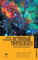 Истинный творец всего. Как человеческий мозг сформировал вселенную в том виде