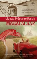 Мадагаскар. Кинематографический роман