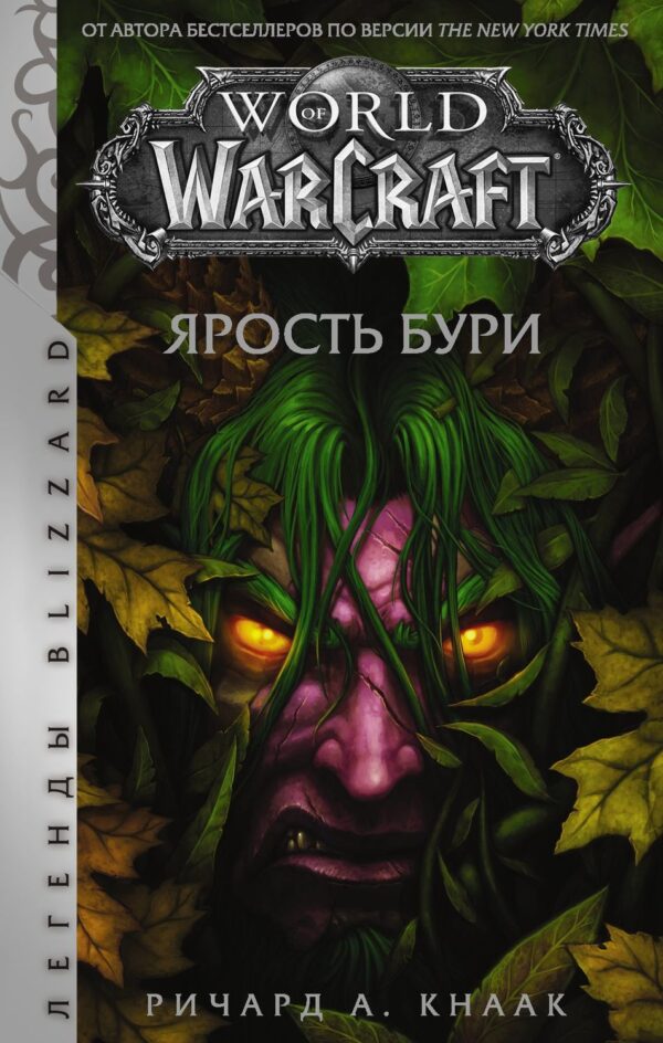 World of Warcraft. Ярость Бури