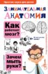 Занимательная анатомия