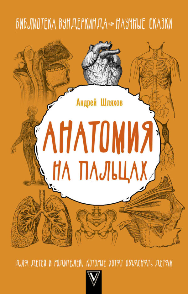 Анатомия на пальцах. Для детей и родителей