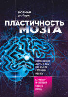 Пластичность мозга. Потрясающие факты о том