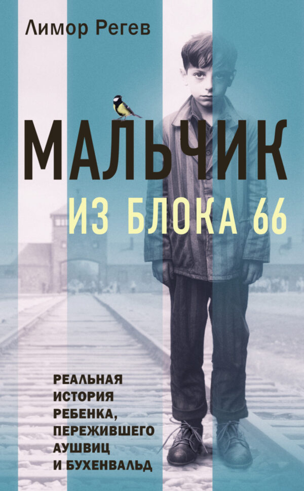 Мальчик из Блока 66. Реальная история ребенка