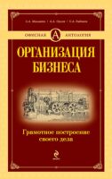 Организация бизнеса. Грамотное построение своего дела