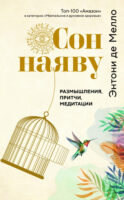 Сон наяву. Размышления