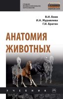 Анатомия животных