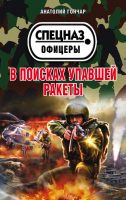 В поисках упавшей ракеты